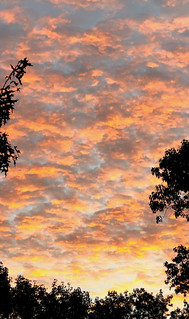 Flickr photo: October Morning Glow Sunrise And Cool Clouds; Above Manhasset, New York