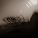 Assignment Pictorialism-8-6