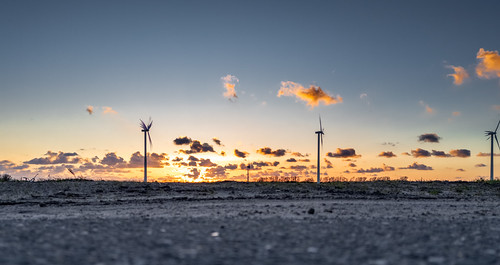 Cloud cutters at work. Ruigeweg, city of Burgerbrug, The Netherlands.