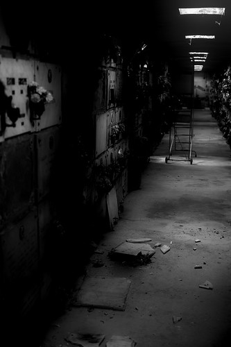 Oltre il silenzio — Beyond the Silence