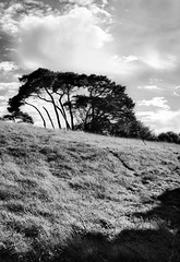 Winchelsea: Void