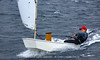 PC6B4579 - 2026 - Dubrovačka regata Optimista