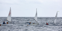 PC6B4522 - 2026 - Dubrovačka regata Optimista