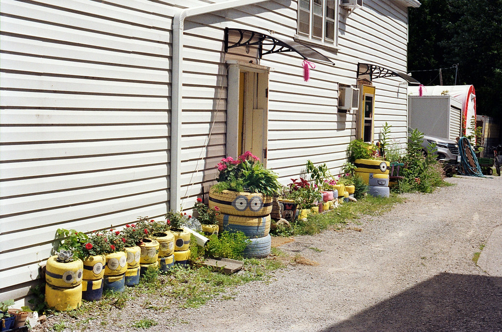Sunderland Minion Flower Pots Aug 2026