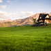 			<p><a href="https://www.flickr.com/people/133486575@N06/">kurek19</a> posted a photo:</p>
	
<p><a href="https://www.flickr.com/photos/133486575@N06/55590508086/" title="Zakopane cottage"><img src="https://live.staticflickr.com/65535/55590508086_c8a1fb0e34_m.jpg" width="240" height="160" alt="Zakopane cottage" /></a></p>


