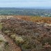 			<p><a href="https://www.flickr.com/people/duncanh1/">Donnchadh H</a> posted a photo:</p>
	
<p><a href="https://www.flickr.com/photos/duncanh1/55591400546/" title="Totley Moor"><img src="https://live.staticflickr.com/65535/55591400546_816cd3f7bc_m.jpg" width="240" height="135" alt="Totley Moor" /></a></p>

<p>Autumn scene with faded heather and the city of Sheffield in the distance.</p>

