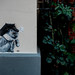 Urbanes Regenschirm-Cat-Monolog