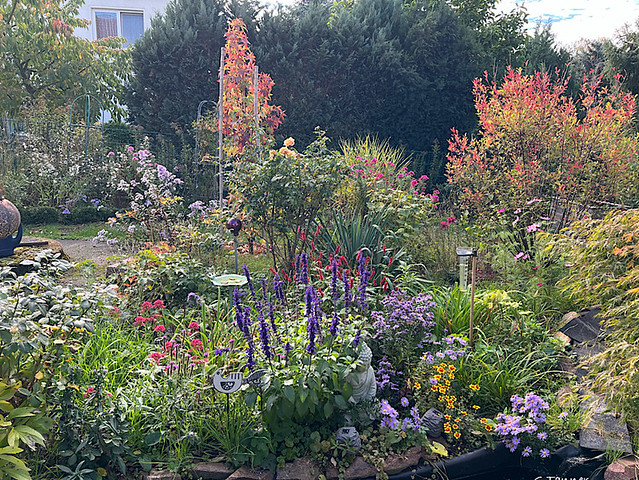 Herbstgarten