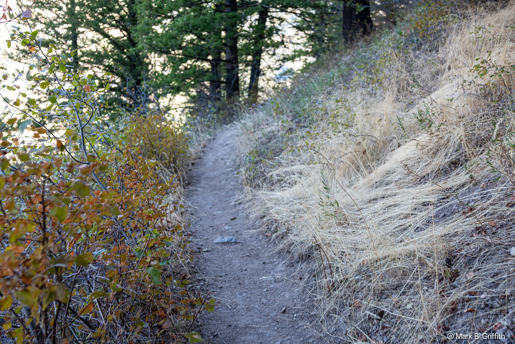 Crimson Trail