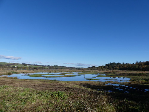 RSPB Lochwinnoch