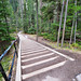 <p><a href="https://www.flickr.com/people/smyeo/">ShaunMYeo</a> posted a photo:</p>
<p><a href="https://www.flickr.com/photos/smyeo/55595286229/" title="The Canadian Rockies"><img src="https://live.staticflickr.com/65535/55595286229_f08120085d_m.jpg" width="240" height="160" alt="The Canadian Rockies" /></a></p>