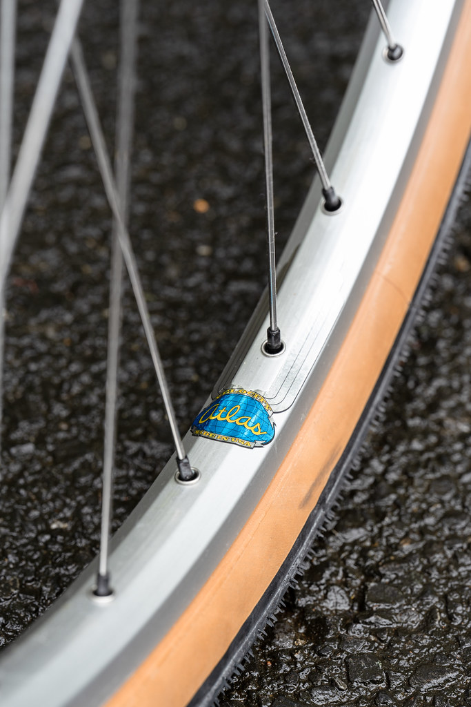 *SURLY* straggler