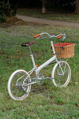 *BIKE FRIDAY* new world tourist
