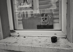 Vanitas