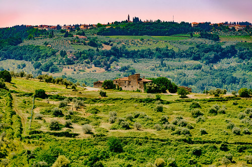 Vineyards of Chianti near Empoli, Tuscany, Italy, at summer