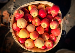 IMG_7680a