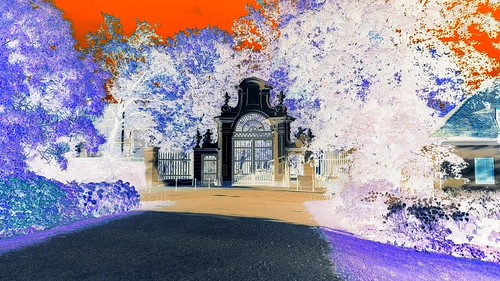 The door of perception II | by wturko