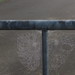 Spiders webs