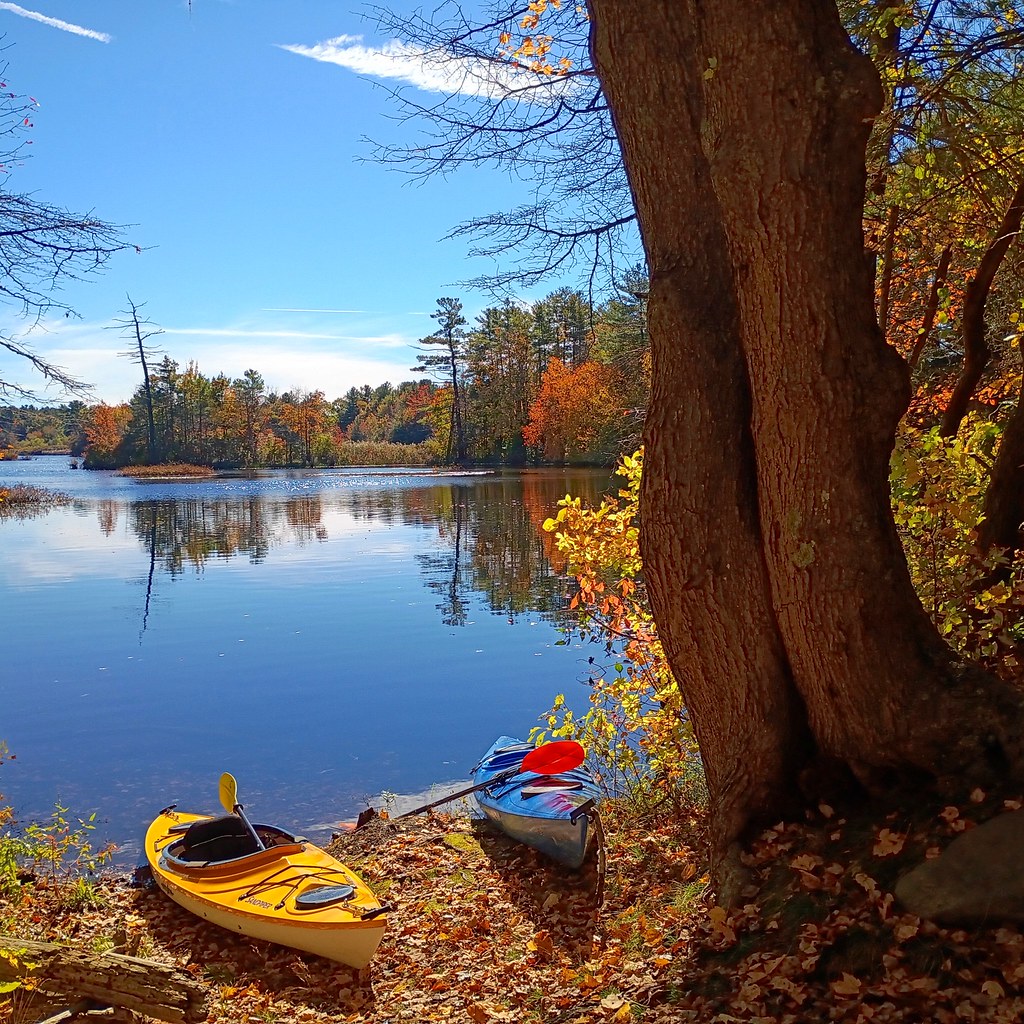 A photograph from Oct 19, 2026, about 20 miles from Colt State Park.
