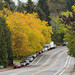 Up hill and around the bend.jpg