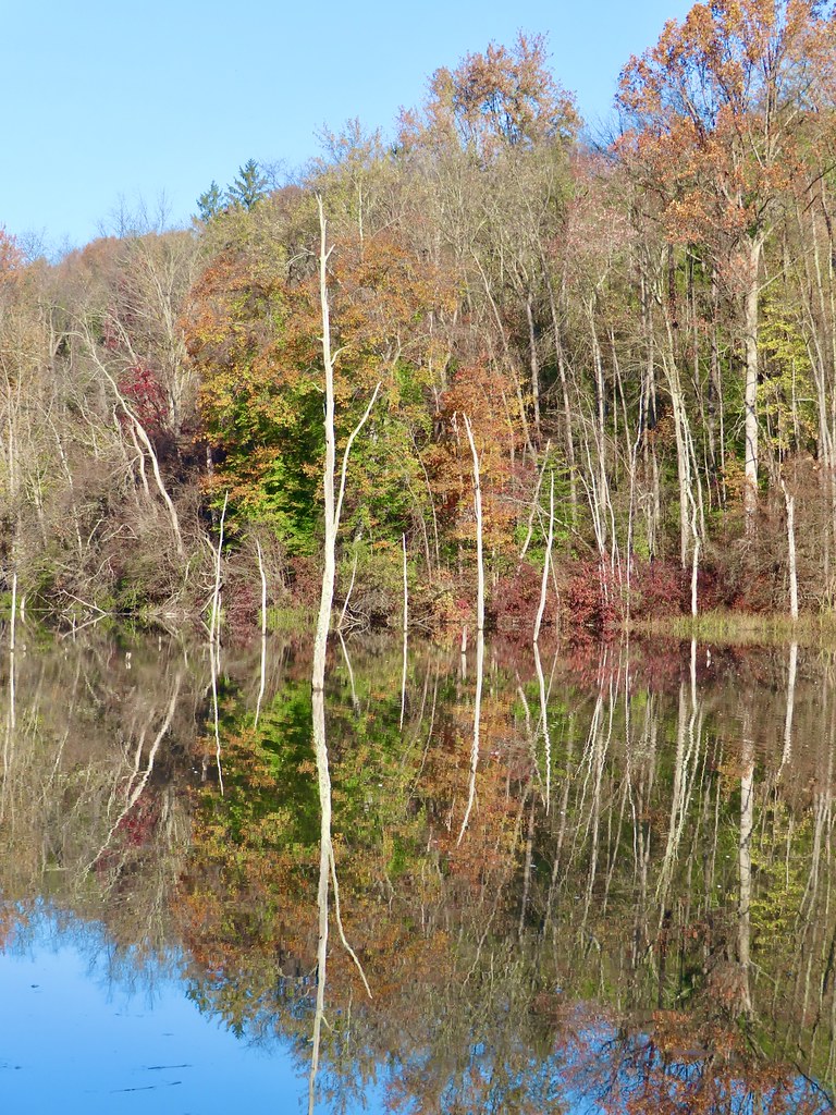 A photograph from Oct 20, 2026, about 34 miles from Finger Lakes & Cayuga Lake.