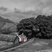 			<p><a href="https://www.flickr.com/people/198417294@N07/">Mixed up photography</a> posted a photo:</p>
	
<p><a href="https://www.flickr.com/photos/198417294@N07/55602269872/" title="Country phone box"><img src="https://live.staticflickr.com/65535/55602269872_1907e7dfd0_m.jpg" width="240" height="135" alt="Country phone box" /></a></p>

<p>Martingdale, Lake district, England, UK</p>
