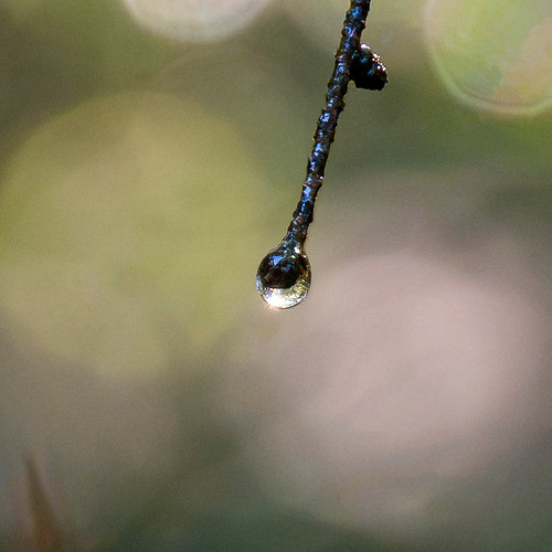 Sysselt herfst-20