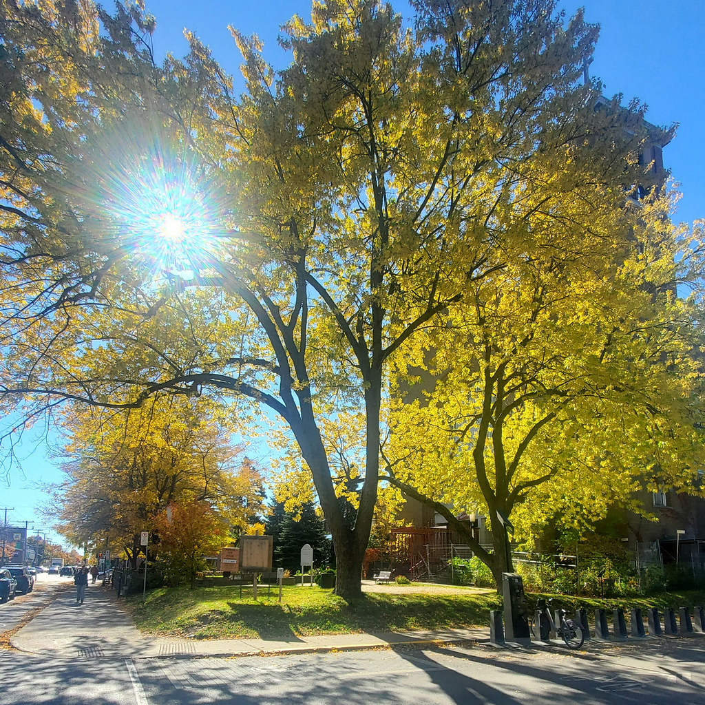 A photograph taken near Montréal & nearby Québec alternatives on Oct 21, 2026.