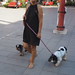 			<p><a href="https://www.flickr.com/people/116851173@N02/">bentchristensen14</a> posted a photo:</p>
	
<p><a href="https://www.flickr.com/photos/116851173@N02/55604261707/" title="P9157775"><img src="https://live.staticflickr.com/65535/55604261707_4e51337eef_m.jpg" width="240" height="180" alt="P9157775" /></a></p>

<p>OLYMPUS DIGITAL CAMERA</p>
