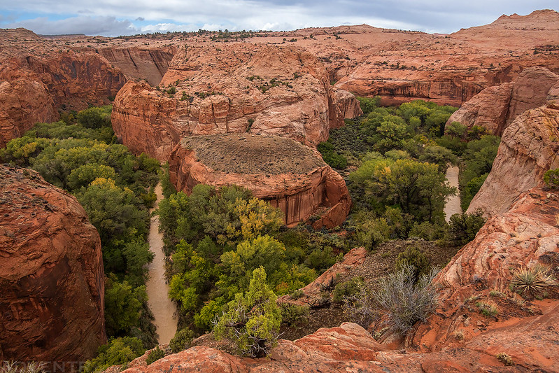 Escalante River Bend