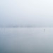 Lake Sammamish - Redmond