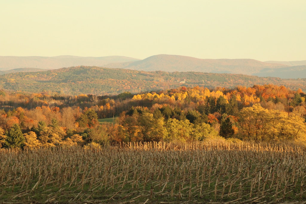 A photograph from Oct 21, 2026, about 27 miles from Manchester & Dorset.
