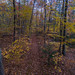 DJI_0432-Edit.jpg
