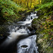 			<p><a href="https://www.flickr.com/people/toyoutome/">correctcreative</a> posted a photo:</p>
	
<p><a href="https://www.flickr.com/photos/toyoutome/55605263444/" title="Autumn Falls"><img src="https://live.staticflickr.com/65535/55605263444_7fa8a8ff35_m.jpg" width="179" height="240" alt="Autumn Falls" /></a></p>


