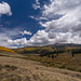 Colorado Beauty