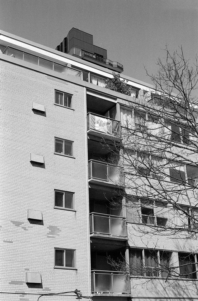 Flying the Flag on the Balcony August 2026