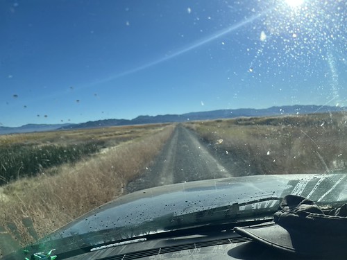 Fish Springs