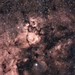 Nebulosa Cabeza de Pez (IC1795)