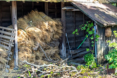 Japanese Rural Shed