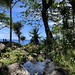 Le sud sauvage