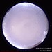 N-2026-10-23-2130_f
