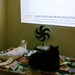 Cats watching election polls