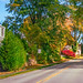 Rte 6A on Cape Cod, today. 10/23/26