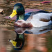 2026 10 23 - ECLP-291-Edit.jpg
