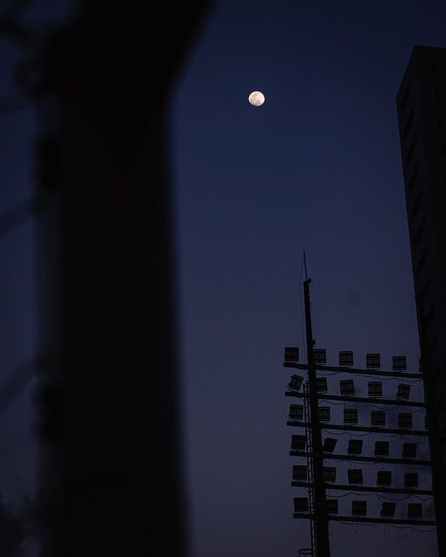 Partida entre Sport x Criciúma, válida pela rodada 35 da Série B do Campeonato Brasileiro, realizada na Ilha do Retiro, em Recife (PE), nesta sexta-feira, 23 de Outubro de 2026. Foto: Paulo Paiva/Sport Club do Recife. _75A5075