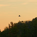 DSC_2721_DxO