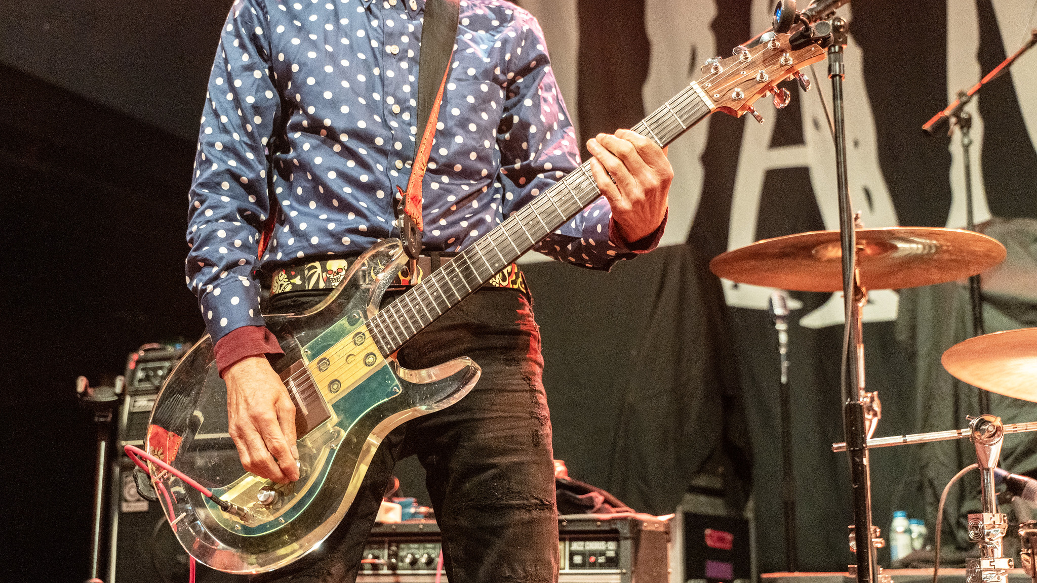 FlamingGroovies06