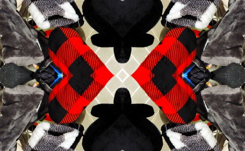 Colored Fabrics Quadrant Kaleidoscope (2) | by Roger's quadrant kaleidoscopes