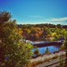 From my window