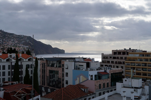 View from the Vine
